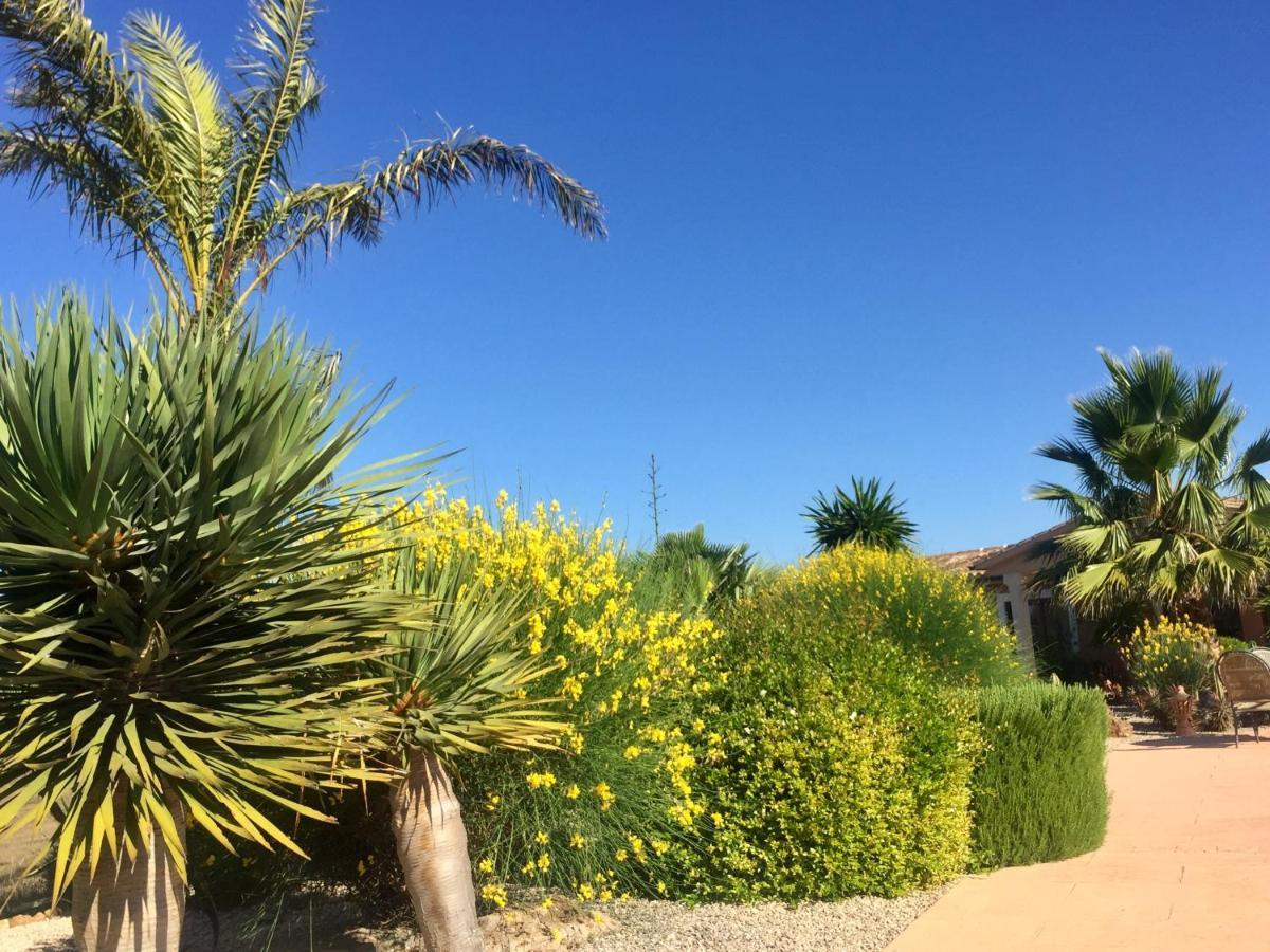 Finca Casa Mas Santanyi Ngoại thất bức ảnh